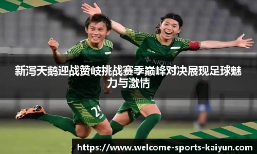 新泻天鹅迎战赞岐挑战赛季巅峰对决展现足球魅力与激情